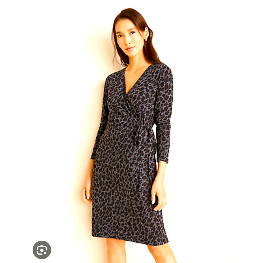Ann Taylor leopard print wrap dress